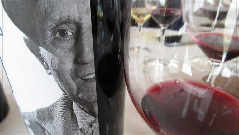 a-pie-de-vina-bodegas-amaren-luis-canas
